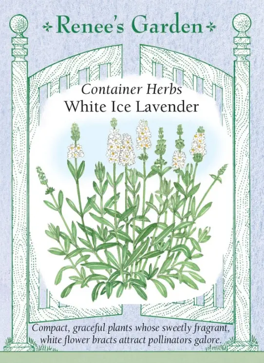 Lavender White Ice Container