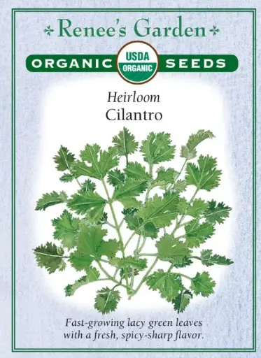 Hardy Geranium Rozanne | Grimms Gardens