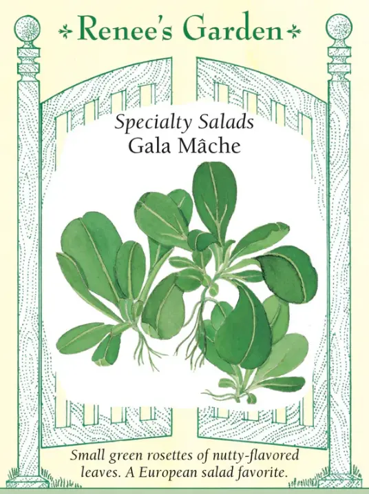 Mache Gala