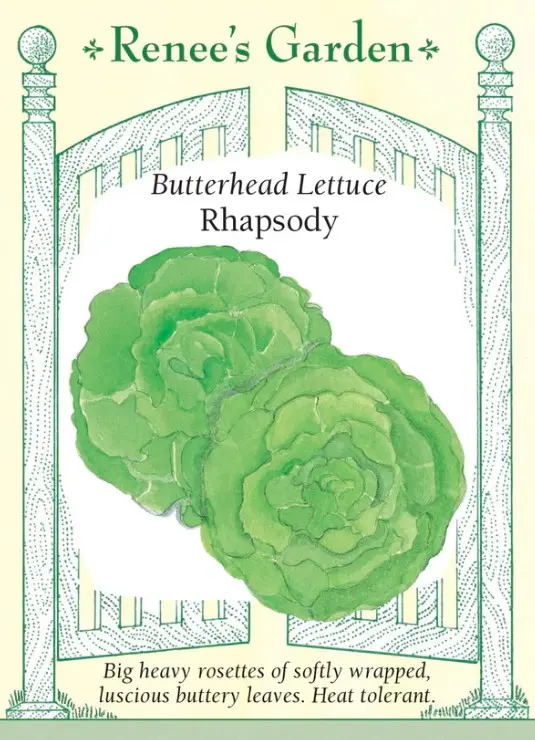 Lettuce Rhapsody Butterhead