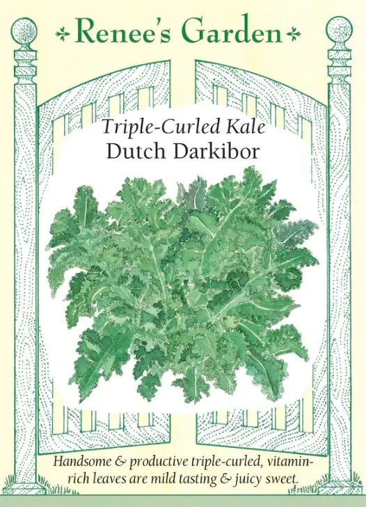 Kale Darkibor