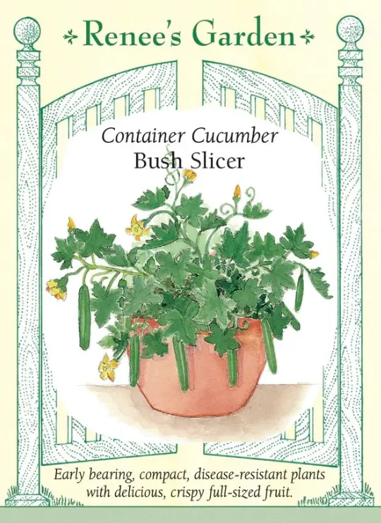 Cucumber Bush Slicer