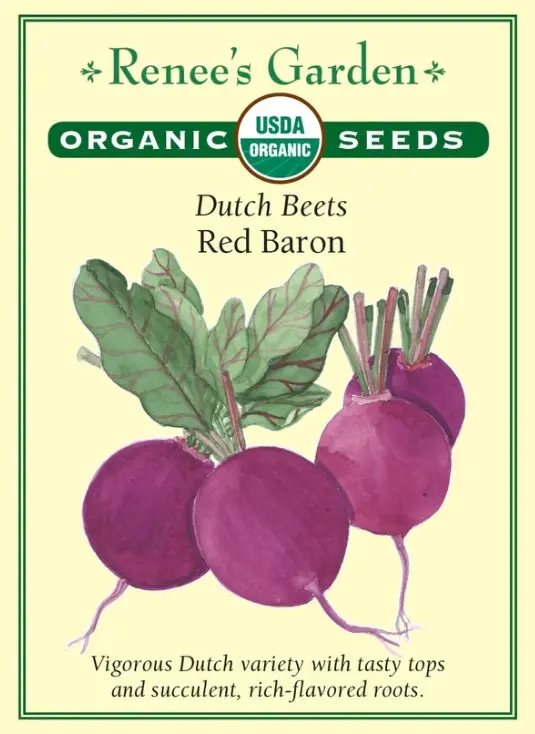 Beet Red Baron Organic