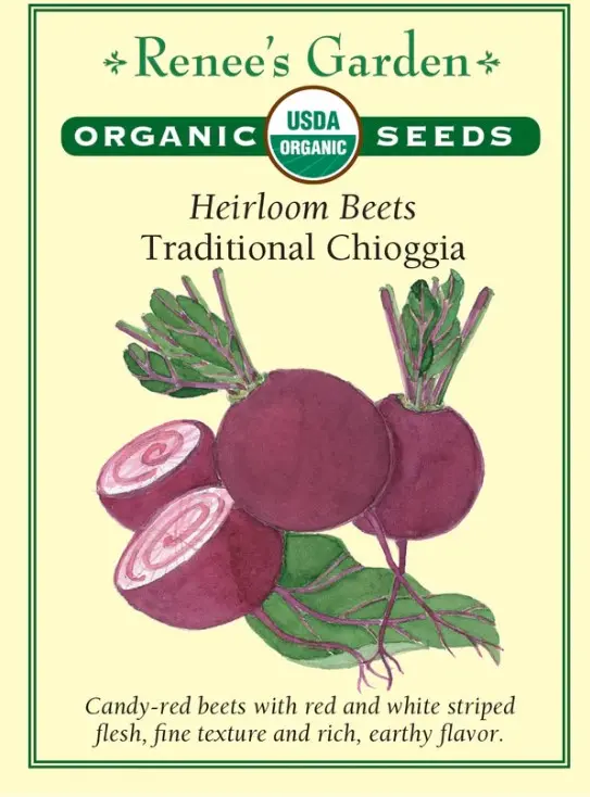 Beet Chioggia Organic