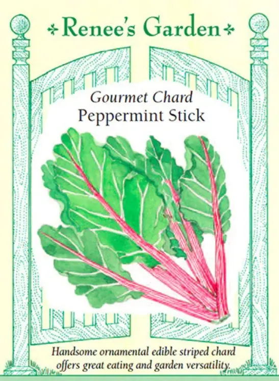 Chard Peppermint Stick
