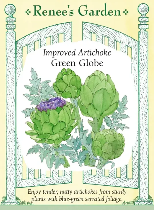 Artichoke Green Globe Improved