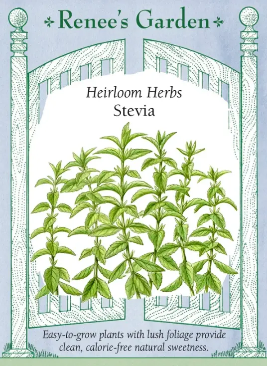 Stevia