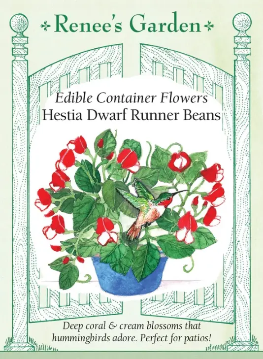 Runner Beans Hestia Dwarf