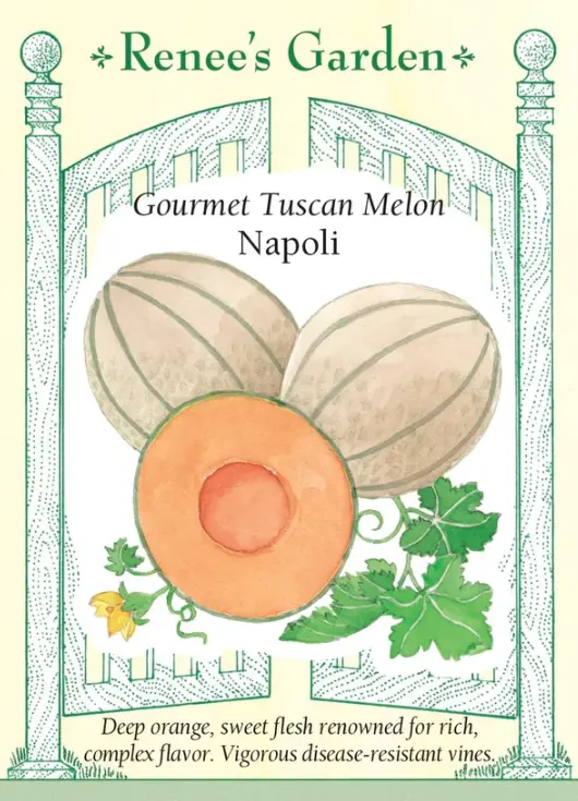 Melon Tuscan Napoli