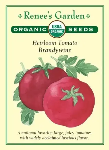[3006] Tomato Brandywine Red Organic