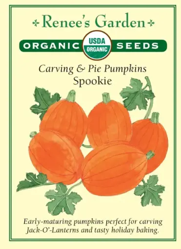 [3044] Pumpkin Spookie Organic