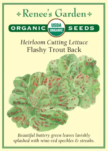 [3068] Lettuce Flashy Trout Back Organic