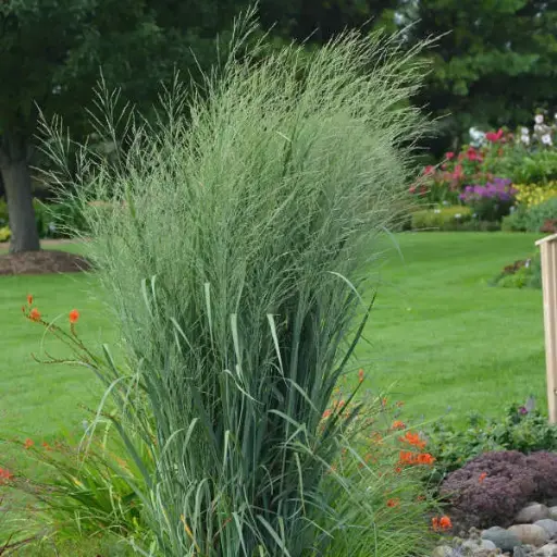 Switchgrass Totem Pole