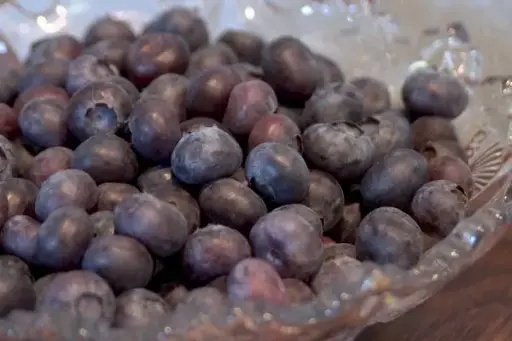 [4524601] Blueberry Northcountry