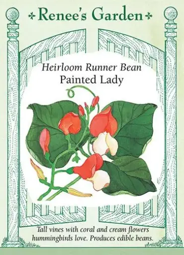 [5034] Bean Runner Painted Lady