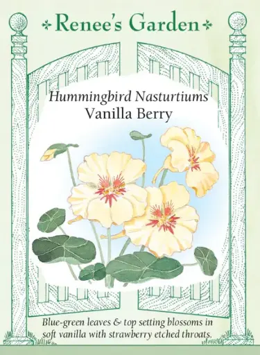 [5045] Nasturtium Vanilla Berry