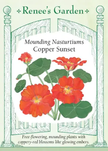 [5052] Nasturtium Copper Sunset