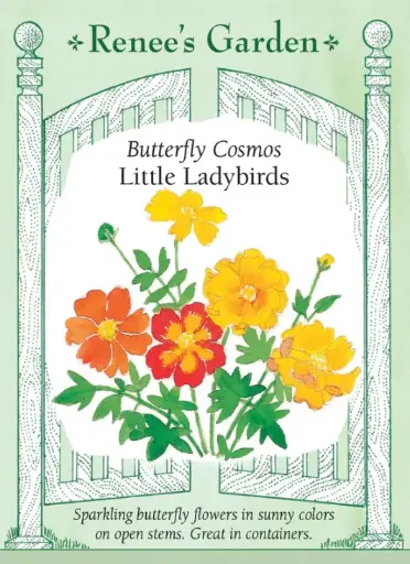 [5056] Cosmos Little Ladybirds