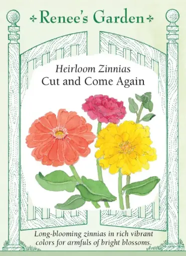 [5070] Zinnia Cut and Come Again