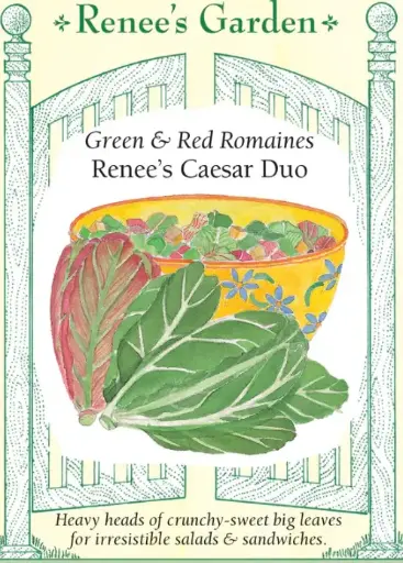 [5158] Lettuce Romaine Caesar Duo