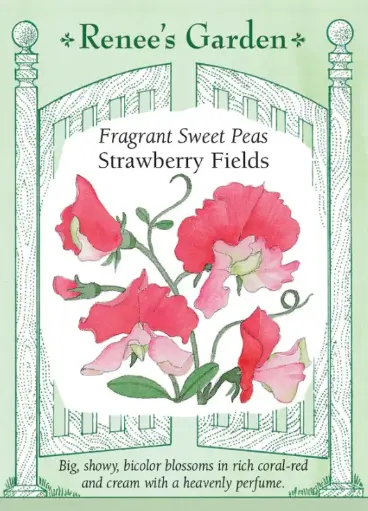 [5166] Sweet Pea Strawberry Fields