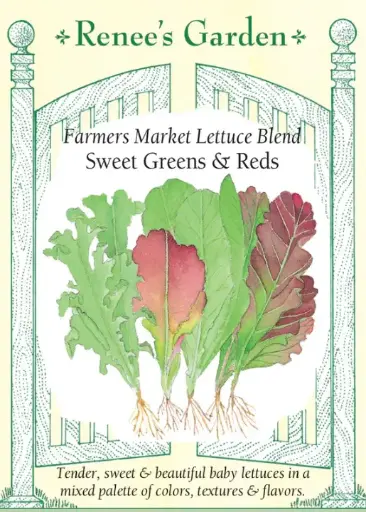 [5183] Lettuce Farmers Market Blend