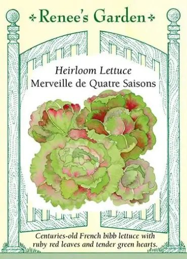 [5282] Lettuce Merveille De 4 Saisons