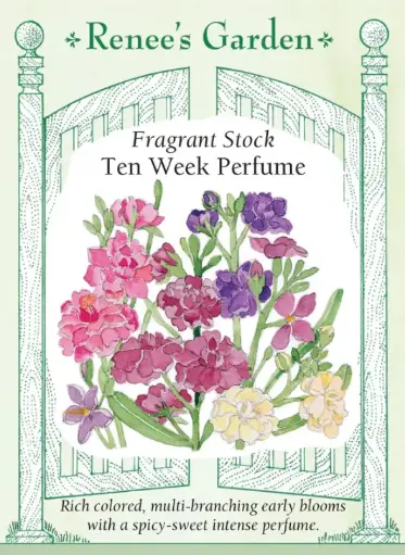 [5284] Stock Fragrant Anytime Mix