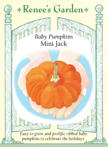 [5289] Pumpkin Mini Jack