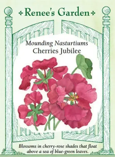 [5319] Nasturtium Cherries Jubilee