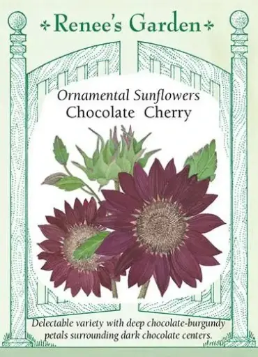 [5323] Sunflower Chocolate Cherry