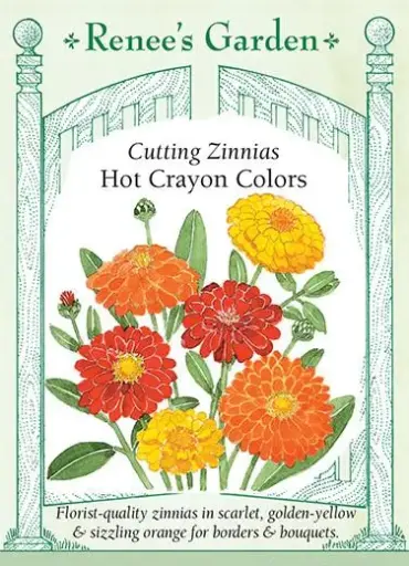 [5367] Zinnia Hot Crayon Colors
