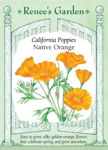 [5414] Poppy California Native Orange