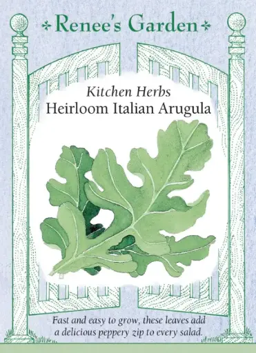 [5450] Arugula Italian