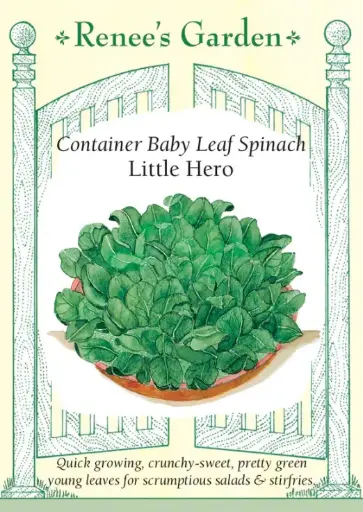 [5454] Spinach Container Little Hero