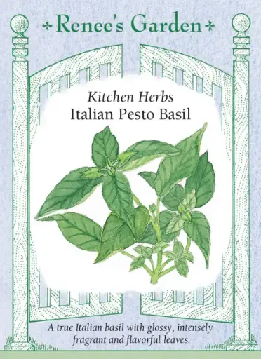[5455] Basil Italian Pesto