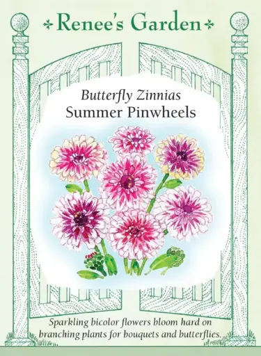 [5462] Zinnia Summer Pinwheels