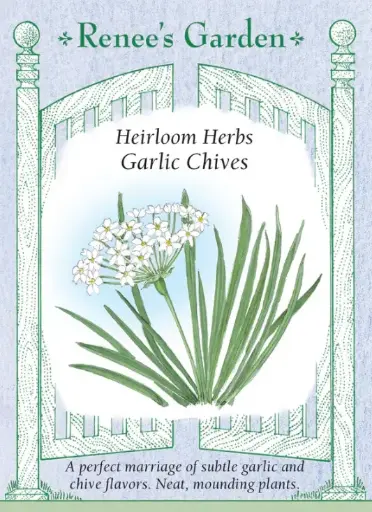 [5472] Chives Garlic