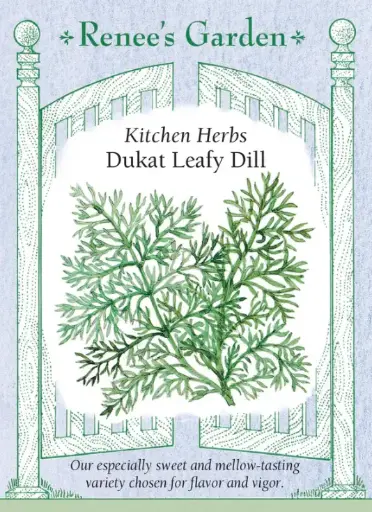 [5480] Dill Dukat Long Standing