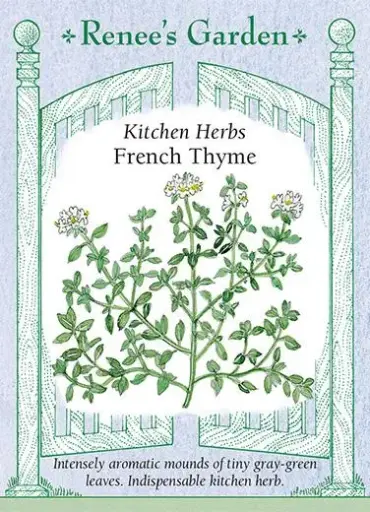 [5505] Thyme French Culinary