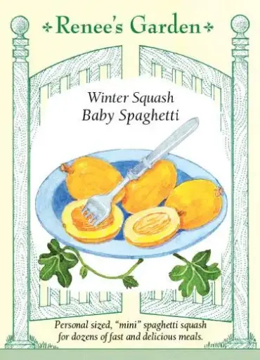 [5511] Squash Winter Baby Spaghetti