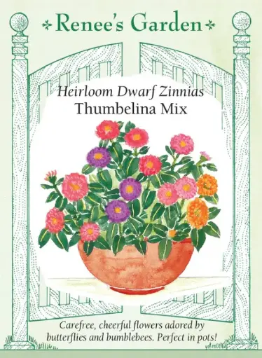[5523] Zinnia Thumbelina Dwarf Mix