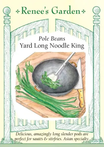 [5530] Bean Pole Yard Long Noodle King