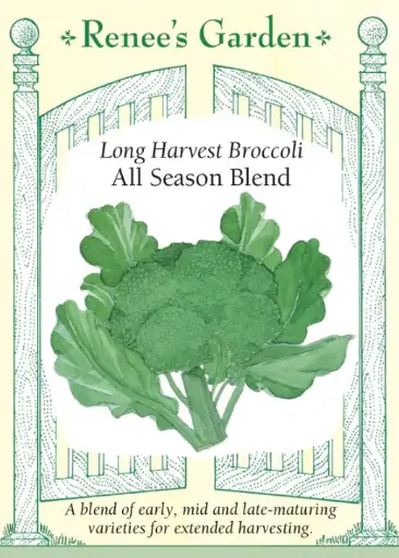 [5580] Broccoli All Season Blend