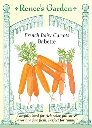 [5592] Carrot Babette