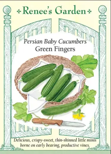 [5826] Cucumber Green Fingers Baby Persian
