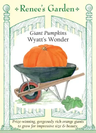[5828] Pumpkin Wyatt's Wonder Giant