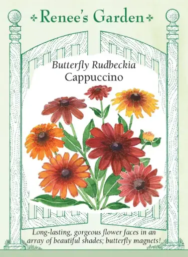 [5853] Rudbeckia Cappuccino
