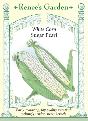 [5859] Corn Sugar Pearls White