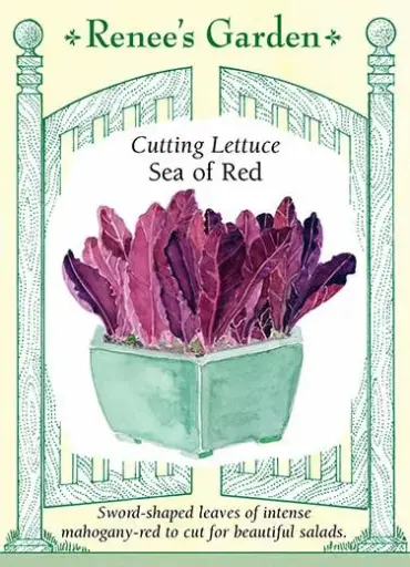[5932] Lettuce Sea of Red
